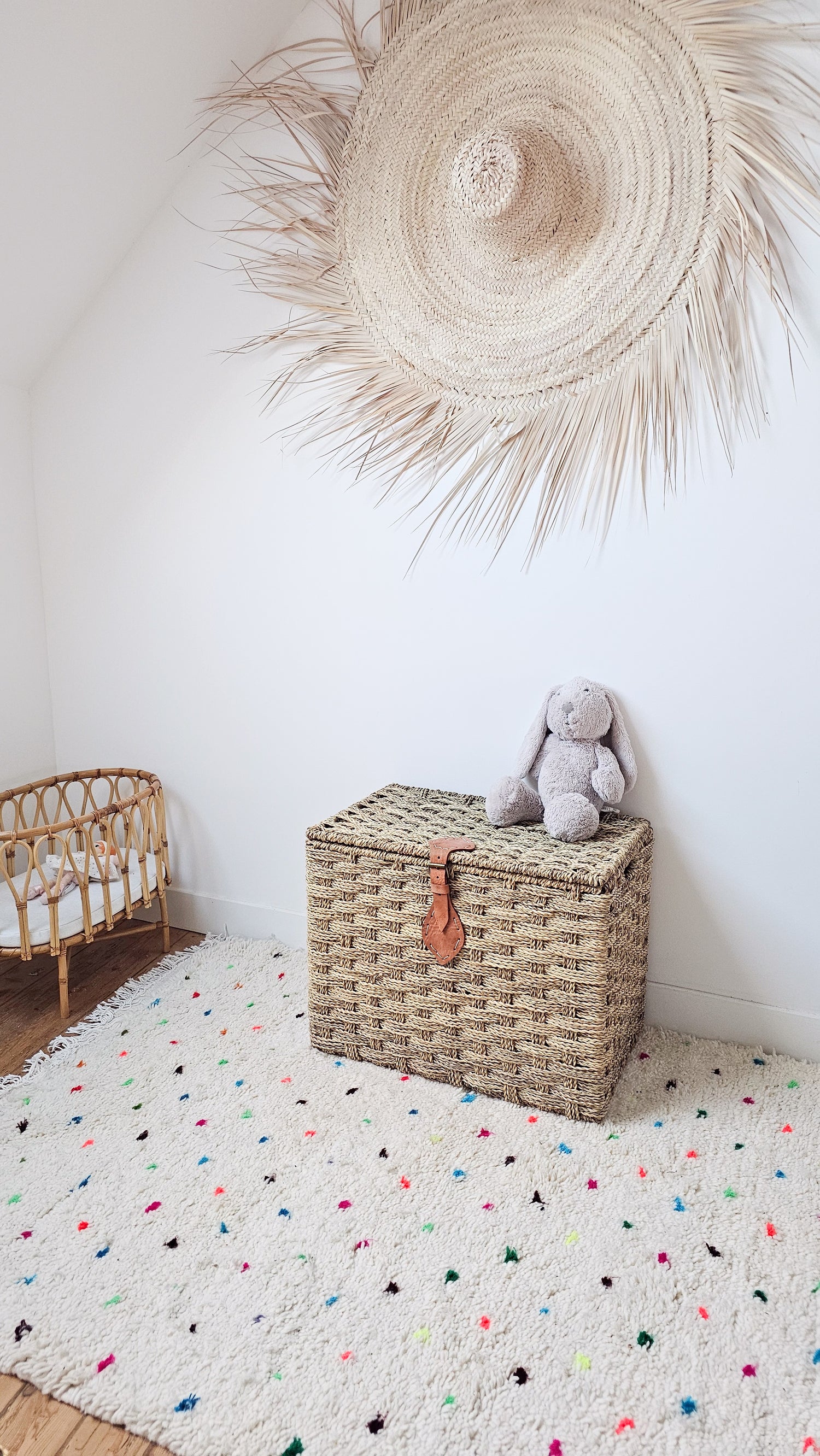 Malles & paniers de rangement