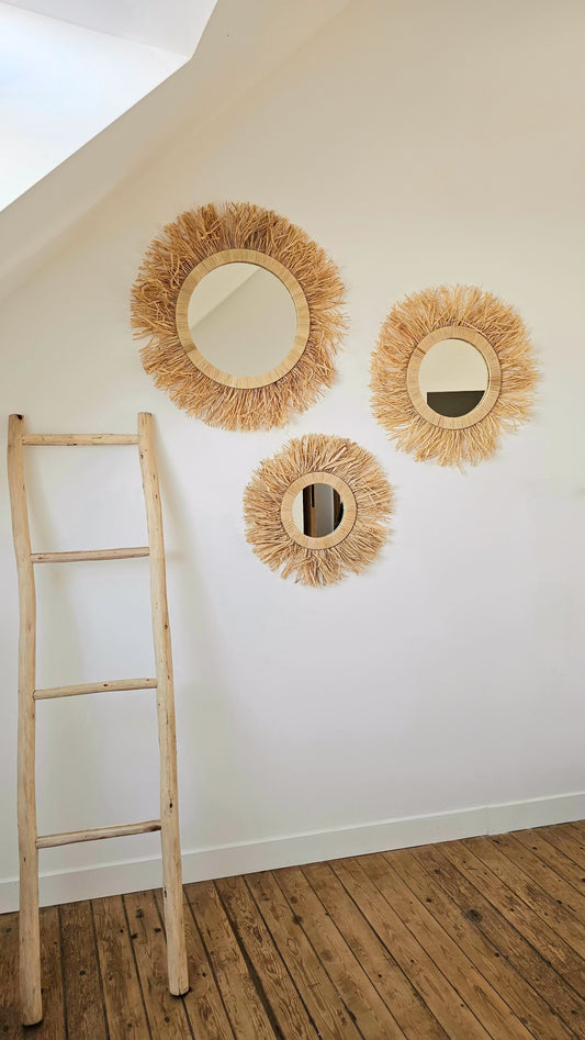 Miroir à franges
